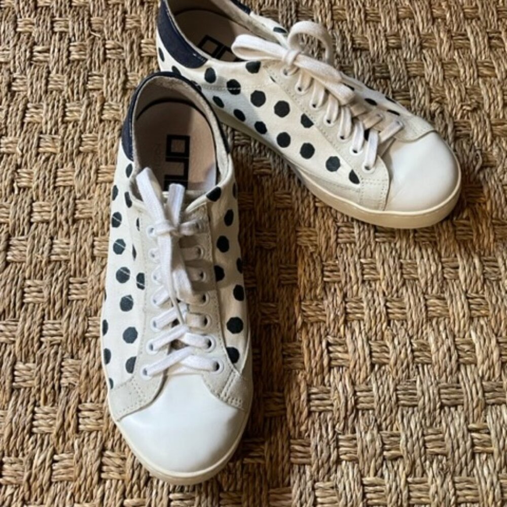 ONE footwear lace up sneaker in polka dot canvas with gold metallic tongue